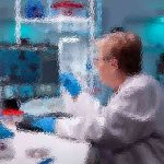 Building a Foundation for Sustainable Health and Longevity