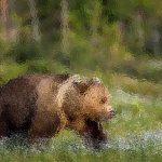 Why are Sea Turtles Important to the Environment?