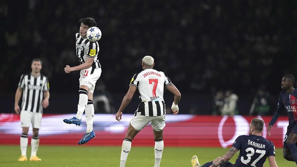 prediksi-newcastle-vs-brighton-epl-2024,-klasemen,-link-live