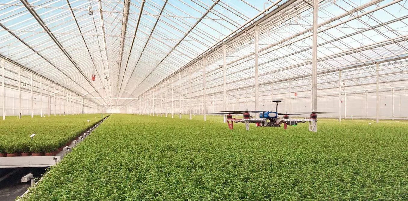 penduduk-dunia-akan-sampai-9,8-miliar:-pertanian-cerdas-bisa-jadi-solusi-menaikkan-produksi-pangan