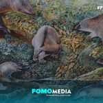 Ilmuwan Australia Temukan “Echidnapus”, Hewan Purba yang Aneh