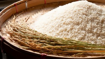 ini-tanda-beras-di-rumah-sudah-kedaluwarsa,-coba-cek!