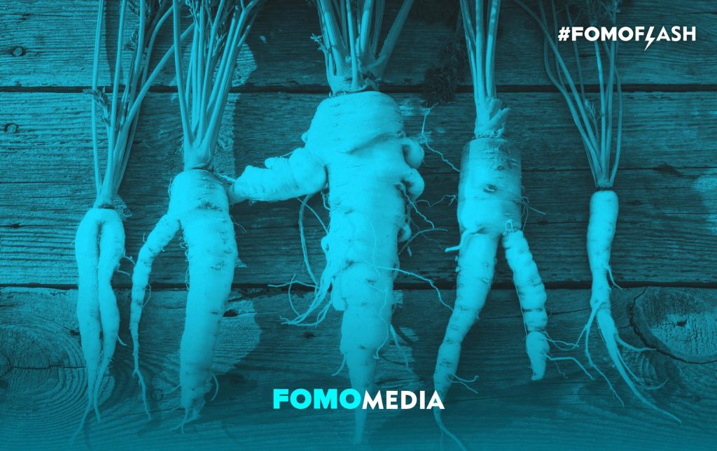 gara-gara-krisis-iklim,-buah-dan-sayur-di-belanda-jadi-aneh