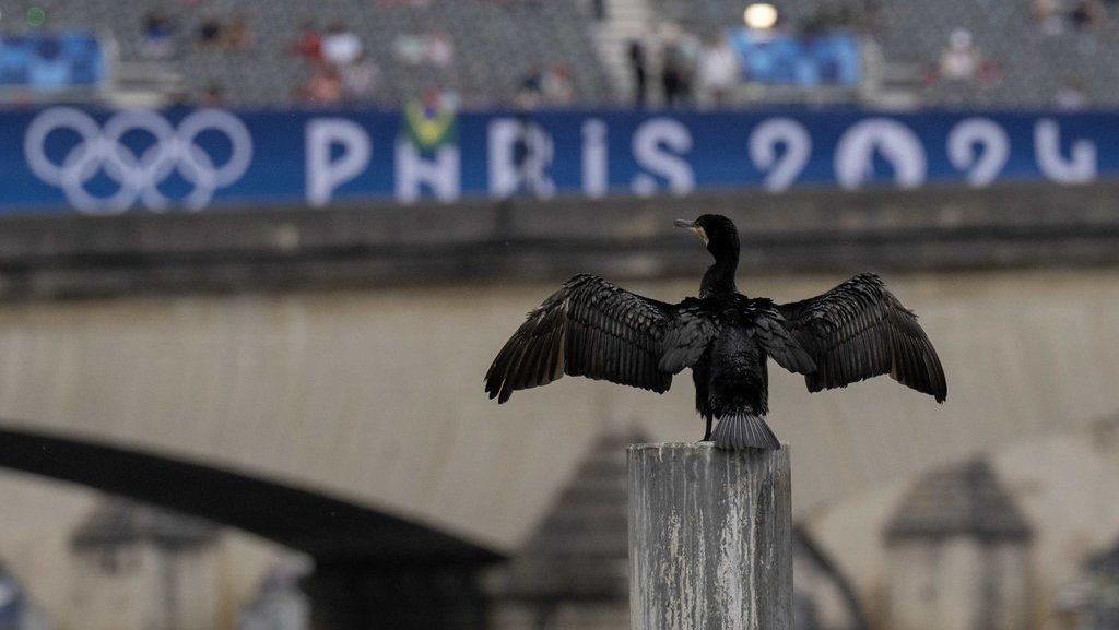 salah-sebut-korsel-jadi-korut,-panitia-olimpiade-2024-minta-maaf