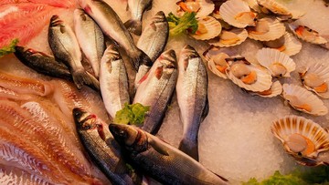menurut-ahli,-ini-7-makanan-laut-paling-sehat-yang-wajib-dikonsumsi