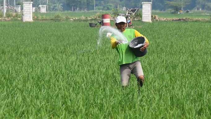 bps:-47,94%-penduduk-miskin-ekstrem-bekerja-di-sektor-pertanian