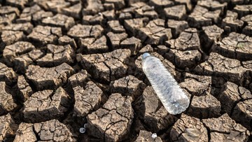 sultan-hamengku-buwono-x-tetapkan-diy-siaga-kekeringan,-simak-detailnya!