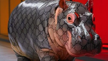 moo-deng-tampil-gaya-di-panggung-runway-dengan-kostum-mewah-buatan-ai!