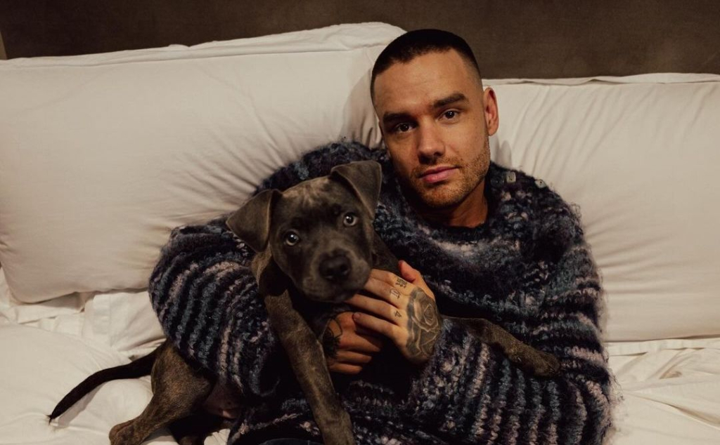 liam-payne-personel-one-direction-meninggal-dunia-usai-jatuh-dari-balkon-lantai-3-hotel