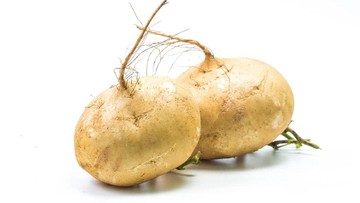 5-manfaat-bengkoang-untuk-kesehatan-dan-kecantikan-kulit-wajah