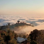 29 Contoh Puisi Pendek Tentang Alam, Cinta, Kemerdekaan, Ibu, & Sahabat