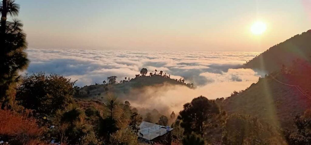 29-contoh-puisi-pendek-tentang-alam,-cinta,-kemerdekaan,-ibu,-&-sahabat