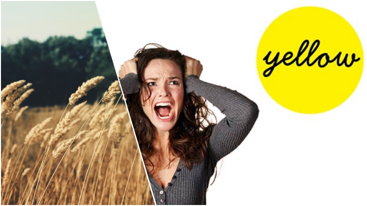 10-fobia-aneh-tapi-nyata,-mulai-takut-sama-hembusan-angin-sampai-takut-warna-kuning!-wow,-bisa-ya~