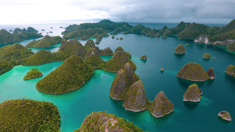wisata-raja-ampat-yang-memukau-dengan-keindahan-biota-laut-yang-kaya