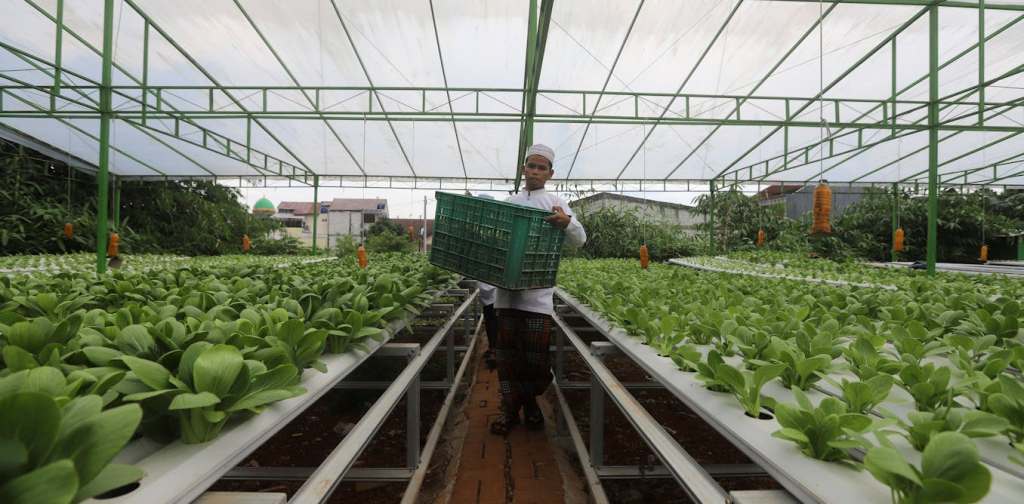 potensi-pesantren-sebagai-kontributor-ketahanan-ekonomi-hijau-nasional