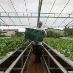 Potensi pesantren sebagai kontributor ketahanan ekonomi hijau nasional