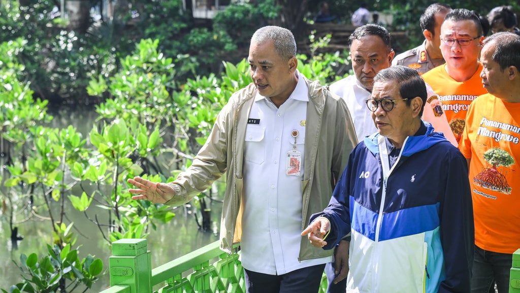 pramono-akan-bangun-giant-mangrove-wall-di-pesisir-jakarta