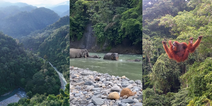 5-aktivitas-keren-yang-bisa-kamu-lakukan-di-kabupaten-langkat