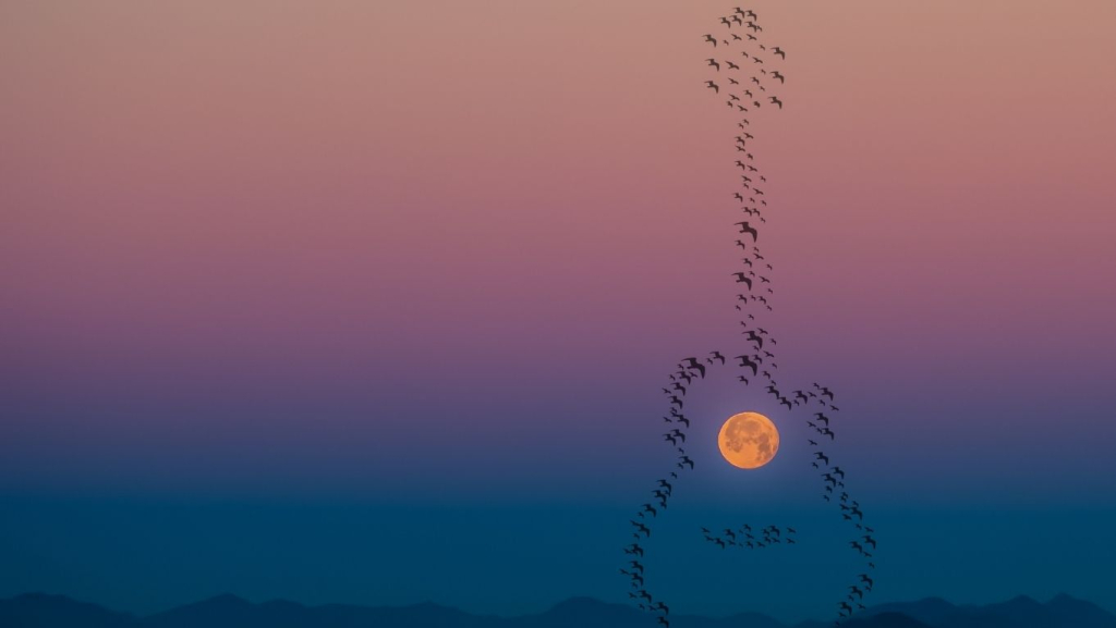 15-rekomendasi-lagu-aesthetic-untuk-story-ig-foto-sendiri