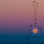 15 Rekomendasi Lagu Aesthetic untuk Story IG Foto Sendiri