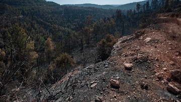 5-kerusakan-alam-dan-bencana-terbesar-di-dunia-akibat-ulah-manusia,-salah-satunya-di-indonesia!