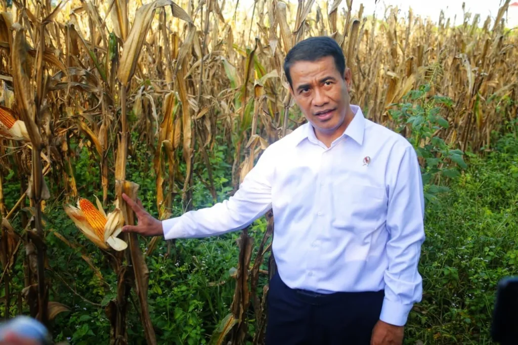 kisah-“padi-berbisik”-amran?