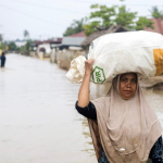 Sindrom Shin Godzilla Kementerian Bencana