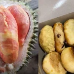 12 Oleh-Oleh Khas Banyuwangi Populer yang Worth It Dibeli