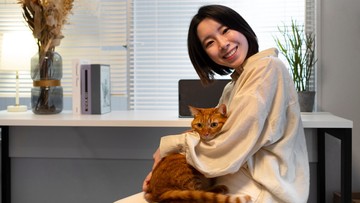 ciri-kepribadian-pecinta-kucing-menurut-penelitian