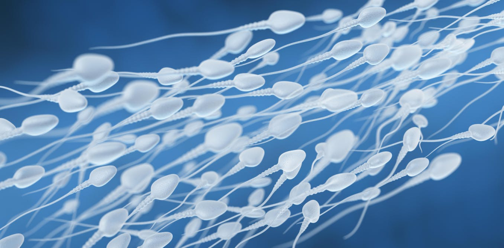 benarkah-sering-ejakulasi-bisa-kurangi-risiko-kanker-prostat?-jawabannya-tidak-sesederhana-itu