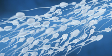 benarkah-sering-ejakulasi-bisa-kurangi-risiko-kanker-prostat?-jawabannya-tidak-sesederhana-itu