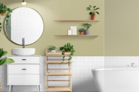 tanaman-yang-cocok-ditaruh-di-kamar-mandi-menurut-feng-shui