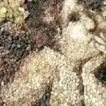 tes-kepribadian:-gambar-pertama-yang-dilihat-ungkap-kamu-bahagia-atau-sedang-dilanda-stres