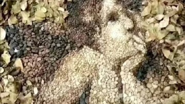 tes-kepribadian:-gambar-pertama-yang-dilihat-ungkap-kamu-bahagia-atau-sedang-dilanda-stres