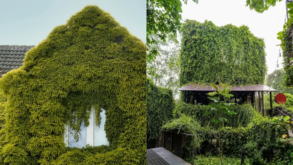 5-cara-jaga-rumah-tetap-sejuk-tanpa-ac-saat-cuaca-panas,-bikin-betah!