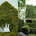 5-cara-jaga-rumah-tetap-sejuk-tanpa-ac-saat-cuaca-panas,-bikin-betah!