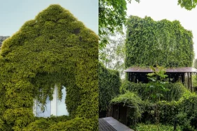 5-cara-jaga-rumah-tetap-sejuk-tanpa-ac-saat-cuaca-panas,-bikin-betah!