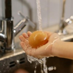 alasan-jangan-cuci-telur-sebelum-dimasak-menurut-ahli