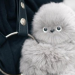 mengenal-mirumi,-charm-gemas-yang-disebut-sebagai-‘labubu-hidup’